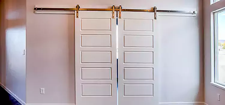 Glass Barn Door with Installation Hardware Kit North Olmsted